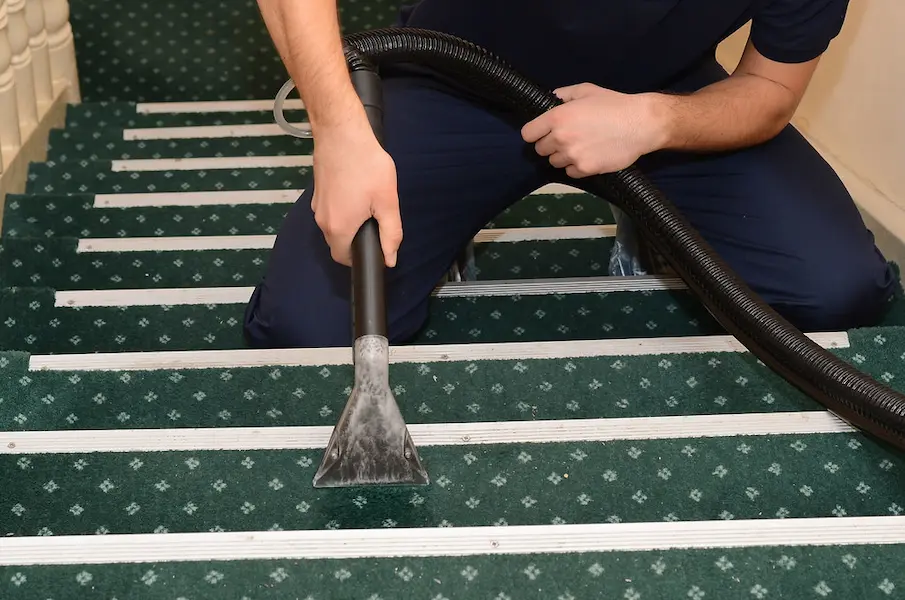 Carpet Cleaning